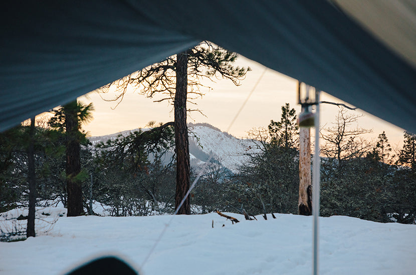 Discover Nearby Nature