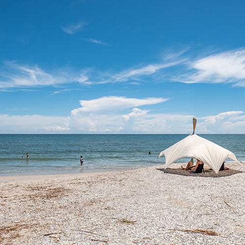 Coastal Carolinas